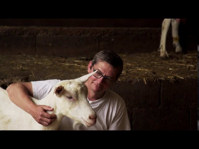 Jean-Marc Ressegand, éleveur de chèvres laitières