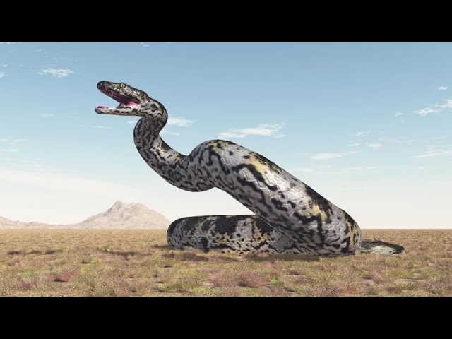 Indian discover fossil of 47-million-year-old snake in Gujarat: ‘One of the largest known’