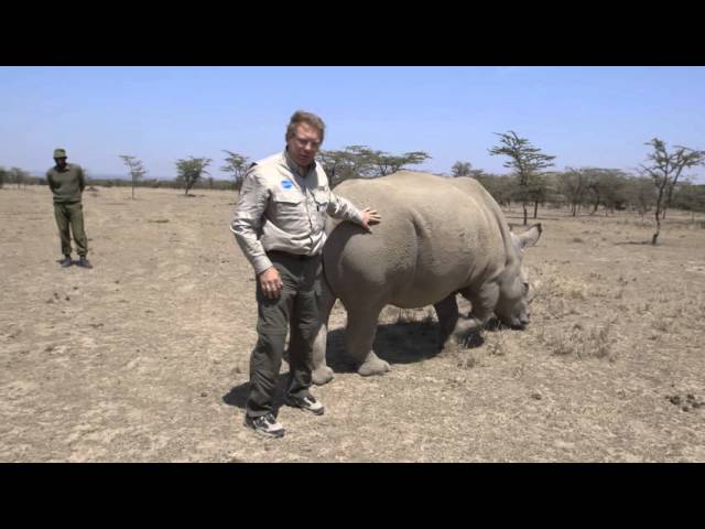 Visiting The Last Northern White Rhinos