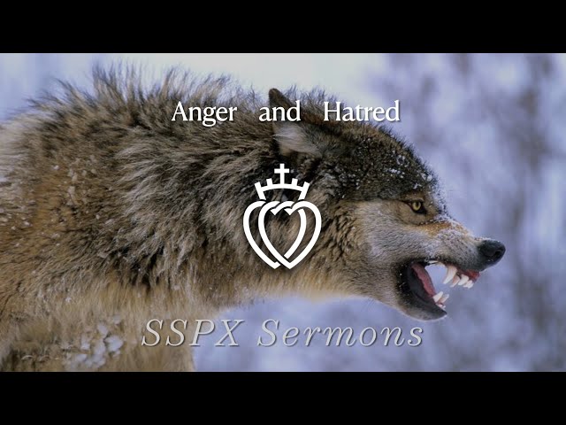 Anger and Hatred - SSPX Sermons