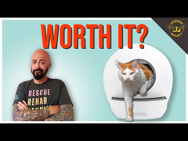 The Truth About Automatic Litter Boxes