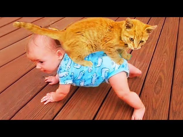 Best Funny Baby Playing With Pets Moments Are Here