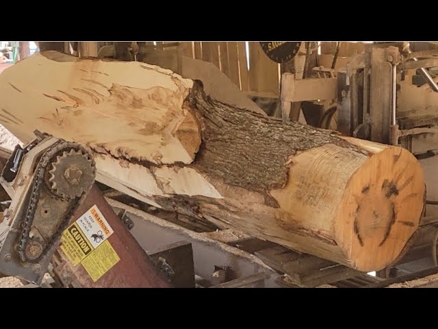 Milling two ugly maples #42