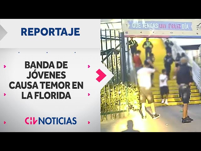 REPORTAJE | Banda de adolescentes causa temor en La Florida - CHV Noticias