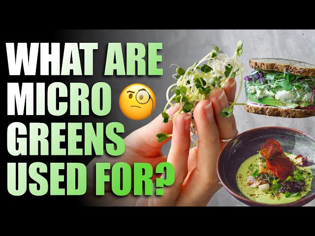 What Are Microgreens Used For? (And 15 Ideas)