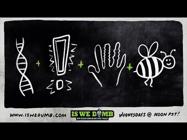 Is We Dumb? | DNA. Panic. Sex Glove. Bumblebee.