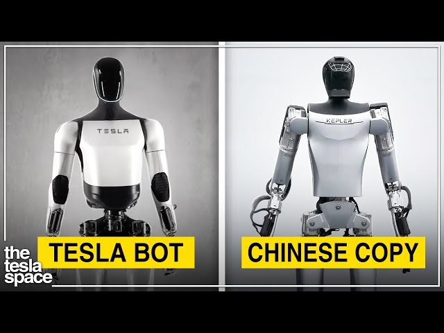 Chinese Tesla Bots Are HERE!