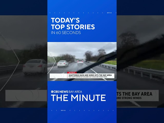 THE MINUTE: Rainy weather, Collapsed tree injures people, and surf advisory issued along coast line