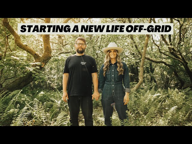 Turning our abandoned land into an off-grid homestead | Finding hidden treasure