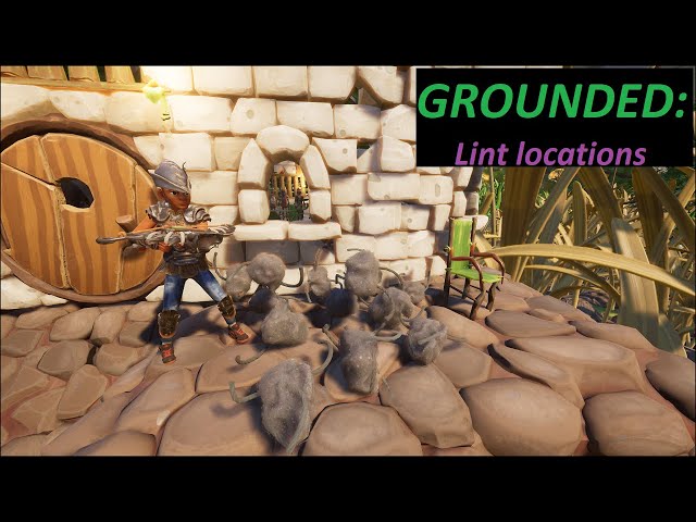 Grounded: Lint locations