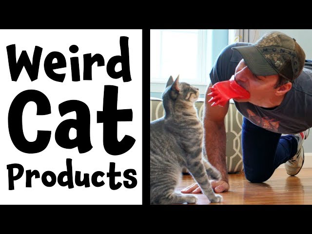 Funny Cat Products Found On Amazon | Lick'em Cat Scratcher | Funny Cat Reaction