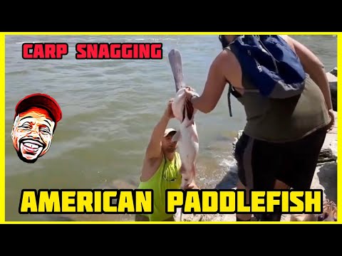 Fishing vlogs