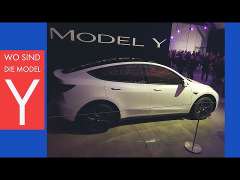 Tesla & MODEL Y