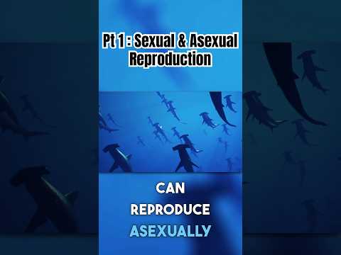 Science | Sexual & Asexual Reproduction