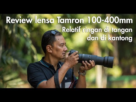 Review Lensa