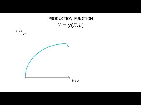 B. Microeconomics - Production