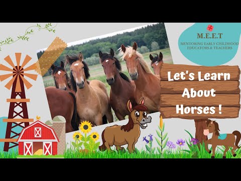 Pet and Farm animals for Kindergarten - online learning preschool learning videos - apt for home schooling - kindergarten pet and farm animal videos