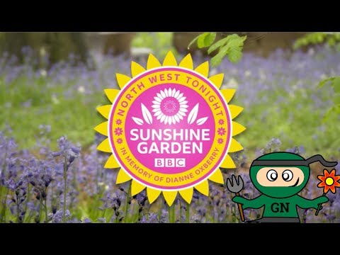 BBC Sunshine Garden at RHS Tatton