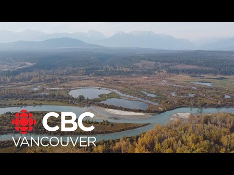 CBC Vancouver LIVE