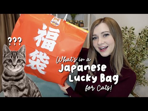 JAPANESE LUCKY BAGS 2021🛍