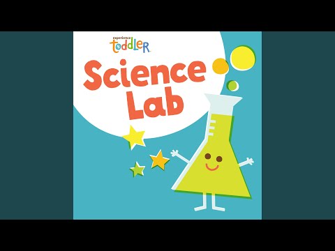 Toddler Beats: Science Lab
