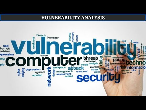 Module 5 : Vulnerability Analysis
