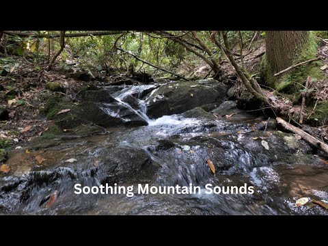 Relaxation Videos - Appalachian ASMR Soothing Sounds & Views
