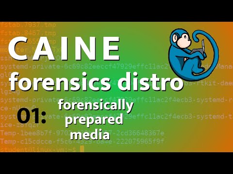 CAINE forensics tutorials