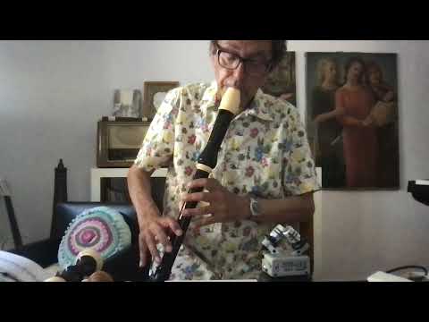 Bach Inventions set for tenor recorder