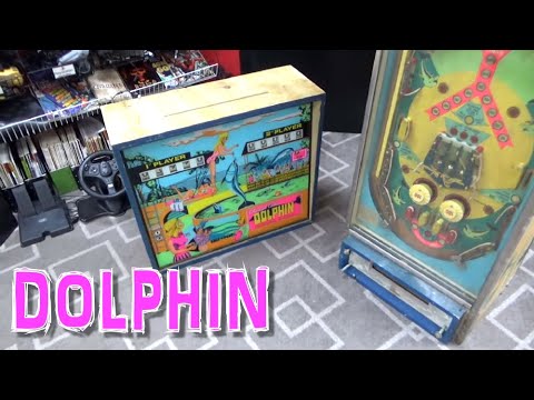 Repairing Chicago Coin's DOLPHIN Flipper Pinball Machine - Very Fun Game!