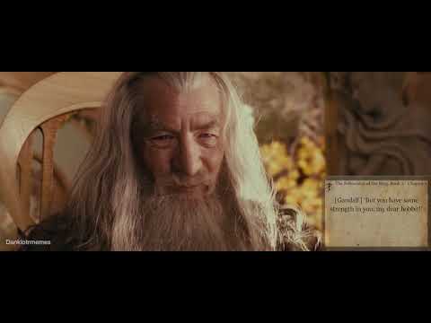 The LOTR trilogy but only the lines taken from the book