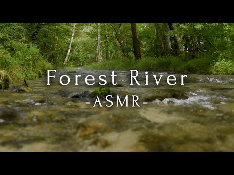 River Scenes - No Music