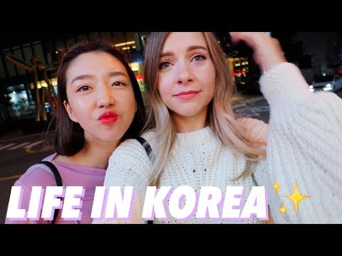 What Life in Korea is Like 🇰🇷
