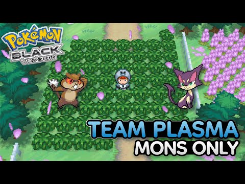 Pokémon Black Team Plasma Mons Only