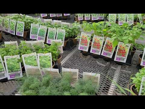 Certified Sustainability Grown Herbs and Edibles