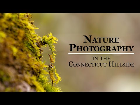 Nature Photography
