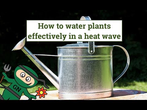Garden Irrigation & Watering Tips