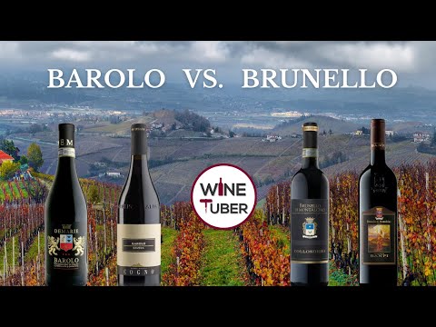 All about Italian wines