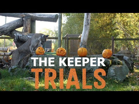 The Keeper Trials