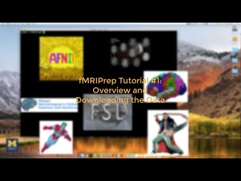 How to Use fMRIPrep