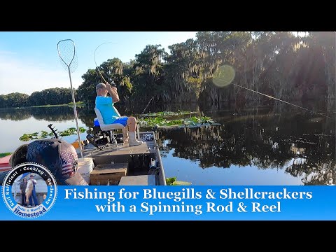 The Ultimate FISHING experience: Catch, Cook and Relax with our videos | Hollis and Nancys Homestead
