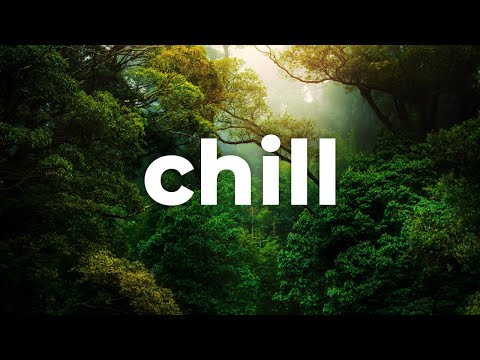 Chill Music (No Copyright) 🌴