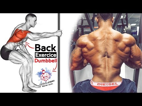 Back / dos workout