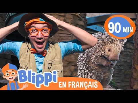 Blippi | Apprendre Avec Blippi | Videos pour Enfant | Blippi en Français