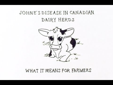 Johne's Disease in Canadian Dairy Herds
