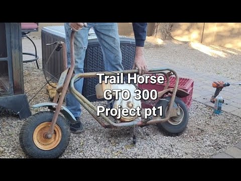 Trail Horse GTO 300 Project