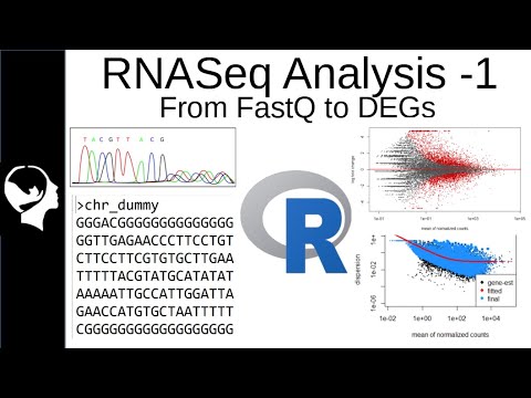 RNAseq Analysis