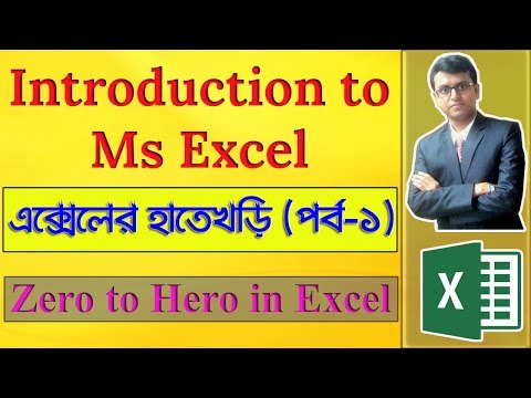 Excel (Beginner to Advanced)