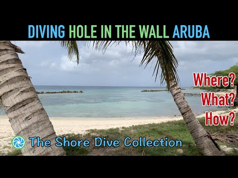 The Shore Dive Collection