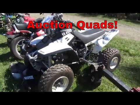 Hudson Valley Old Time Power Mammoth Auction 2024